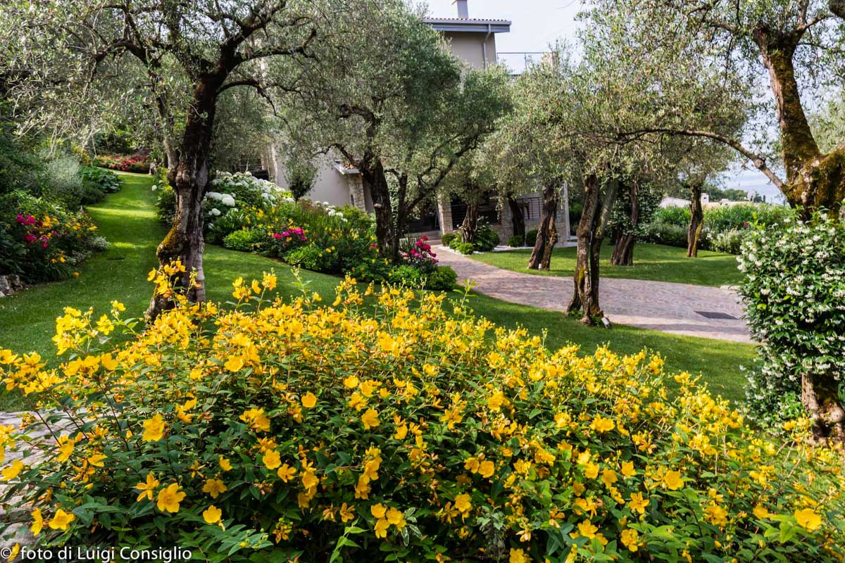 LUIGICONSIGLIO-FOTOGRAFO-giardini-Lago-di-GardaTo MG 6332 (1) (1)