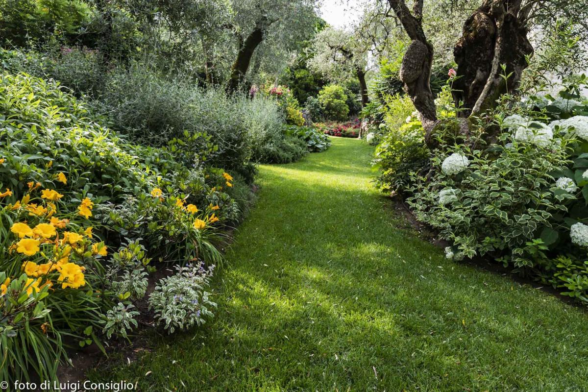 LUIGICONSIGLIO-FOTOGRAFO-giardini-Lago-di-GardaTo MG 6339 (1)