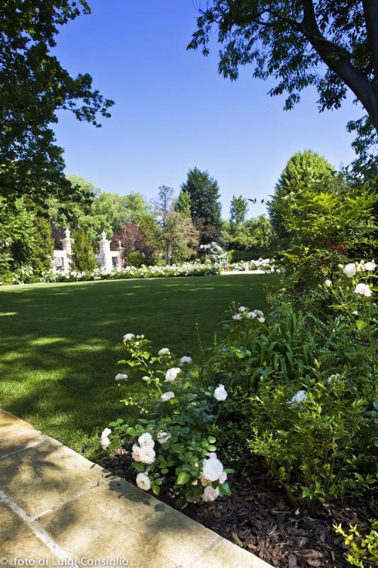 LUIGICONSIGLIO-FOTOGRAFO-giardini-Reggiolo-Hotel-Villa-Nabila-MG 5434