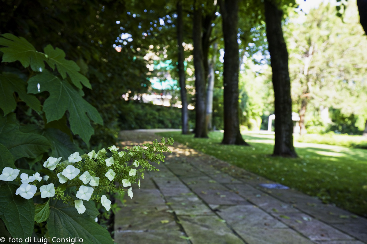 LUIGICONSIGLIO-FOTOGRAFO-giardini-Reggiolo-Hotel-Villa-Nabila- MG 5407