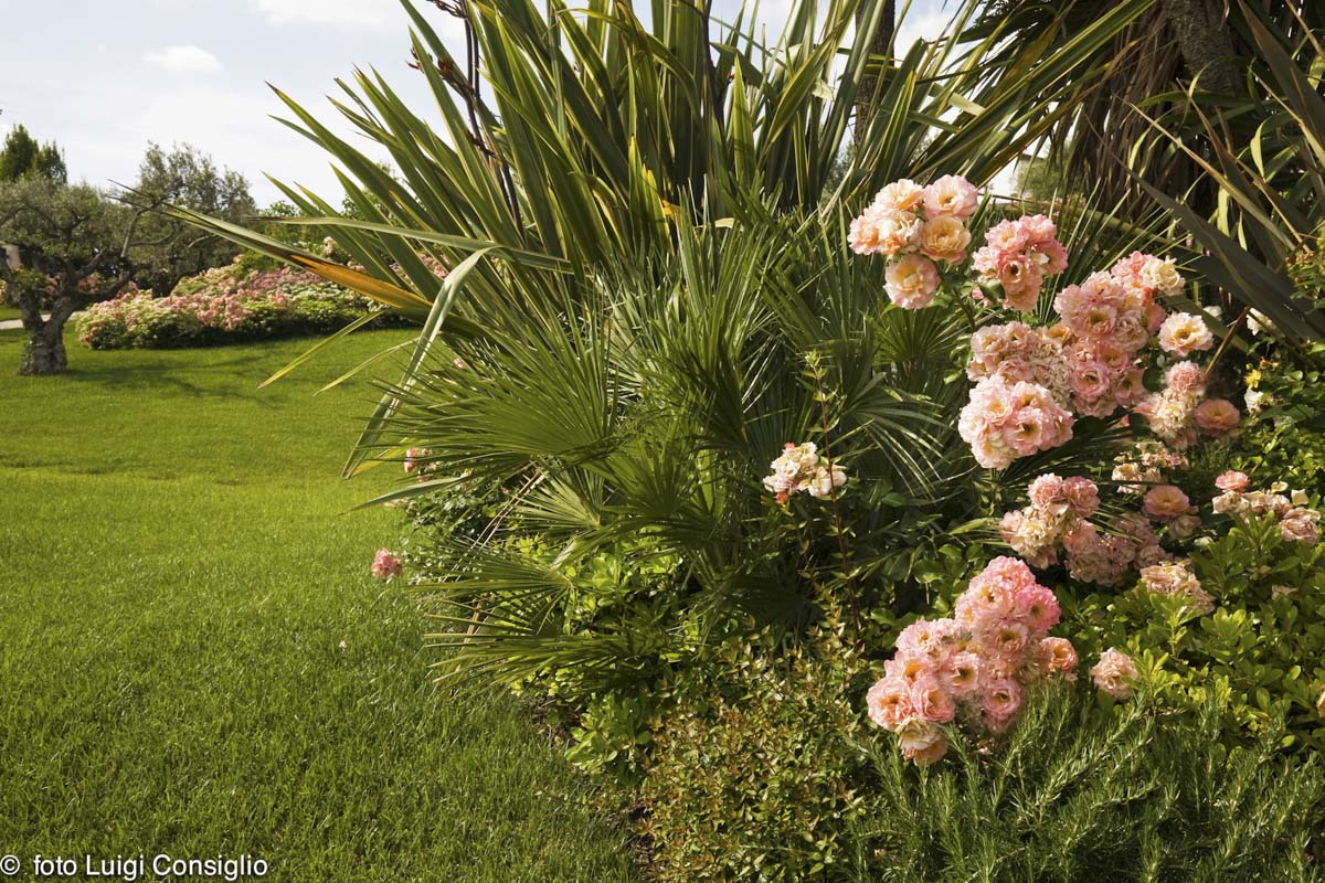 LUIGICONSIGLIO-FOTOGRAFO-giardini-Verona-20180607 0068 (1)