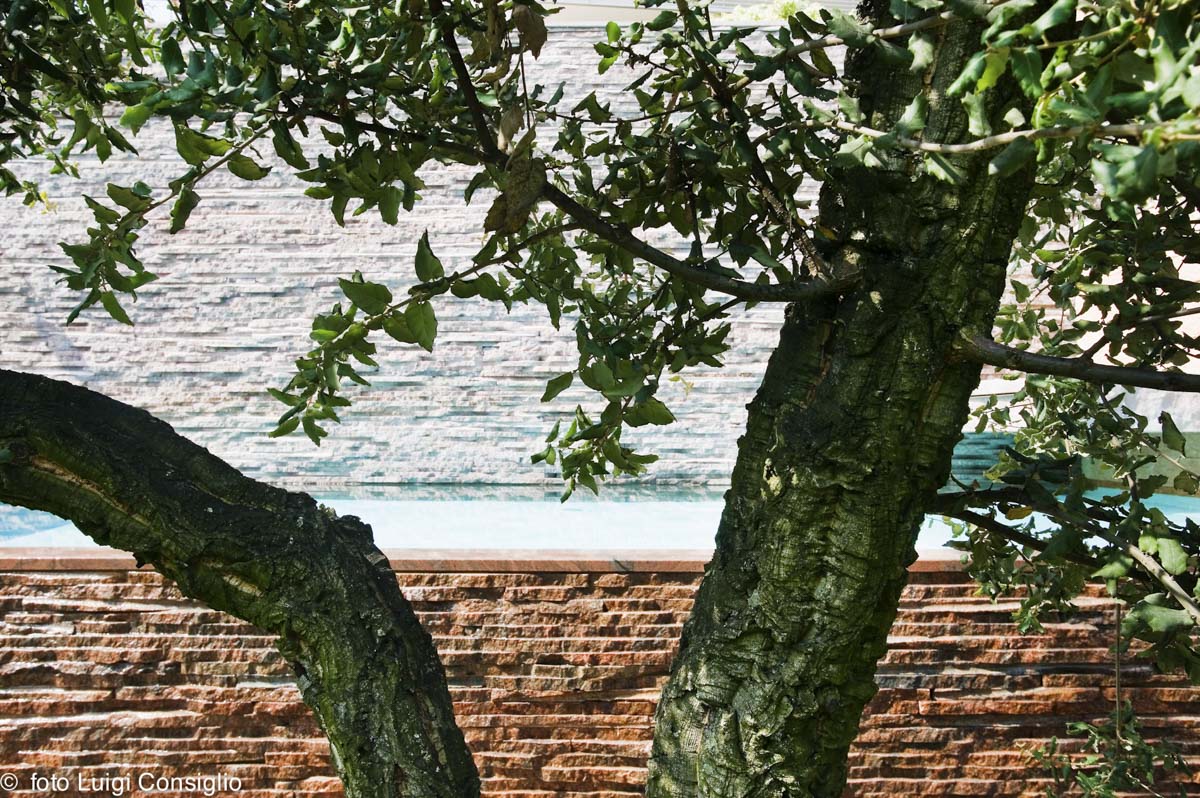 LUIGICONSIGLIO-FOTOGRAFO-giardini-Verona-289X1366