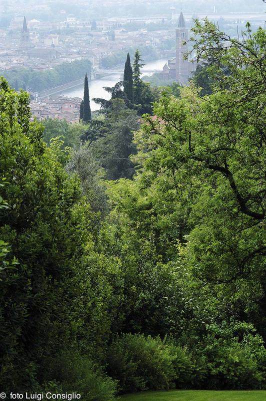 LUIGICONSIGLIO-FOTOGRAFO-giardini-Verona-ANTO22-2 (1)