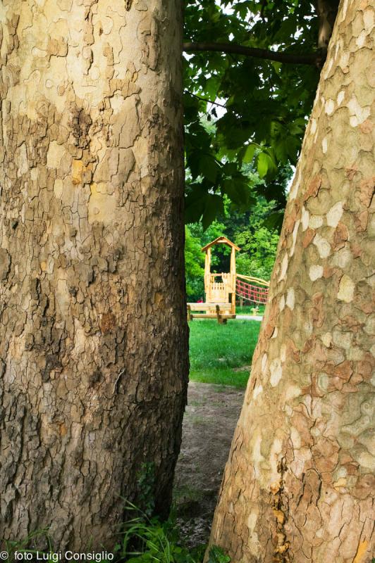 Parco Buri 2006