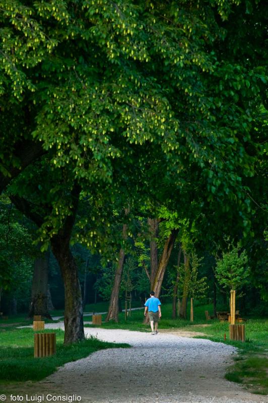 Parco Buri 2006