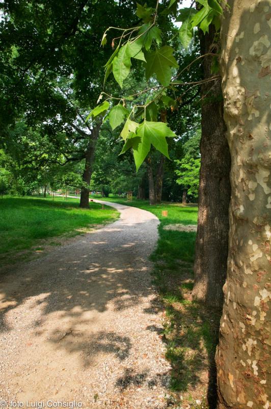 Parco Buri 2006