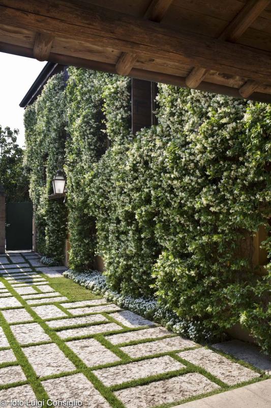 LUIGICONSIGLIO-FOTOGRAFO-giardini-Verona-Riello 2 (1)