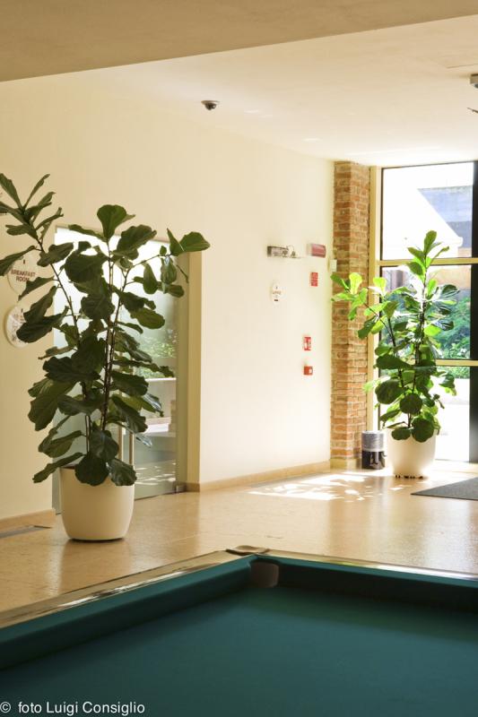 LUIGICONSIGLIO-FOTOGRAFO-giardini-Verona-hotel laTorrehotel laTorre MG 6622