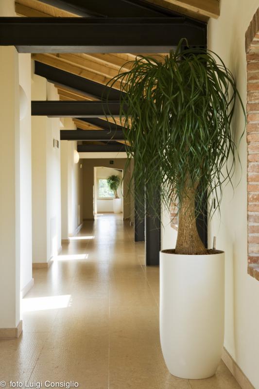 LUIGICONSIGLIO-FOTOGRAFO-giardini-Verona-hotel laTorrehotel laTorre MG 6669