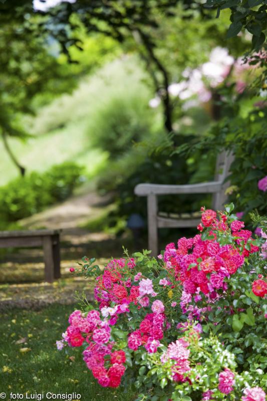 LUIGICONSIGLIO-FOTOGRAFO-giardini-Vicenza-cre matt MG 4929 (1) (1)