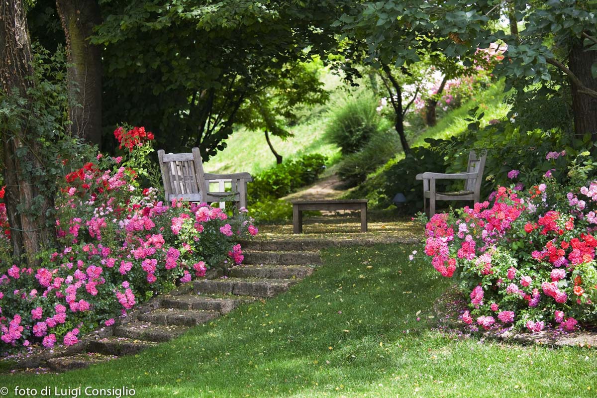 LUIGICONSIGLIO-FOTOGRAFO-giardini-Vicenza-cre matt MG 4931