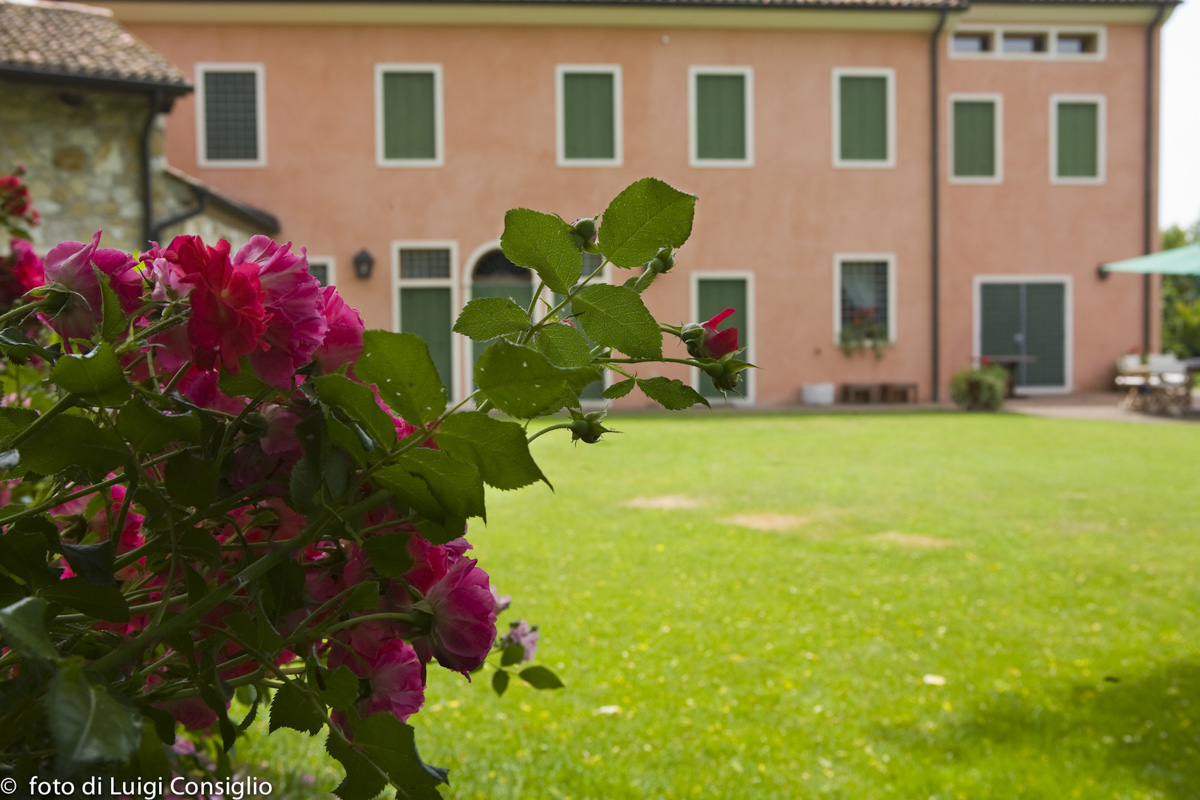 LUIGICONSIGLIO-FOTOGRAFO-giardini-Vicenza-cre matt MG 4945 (1)