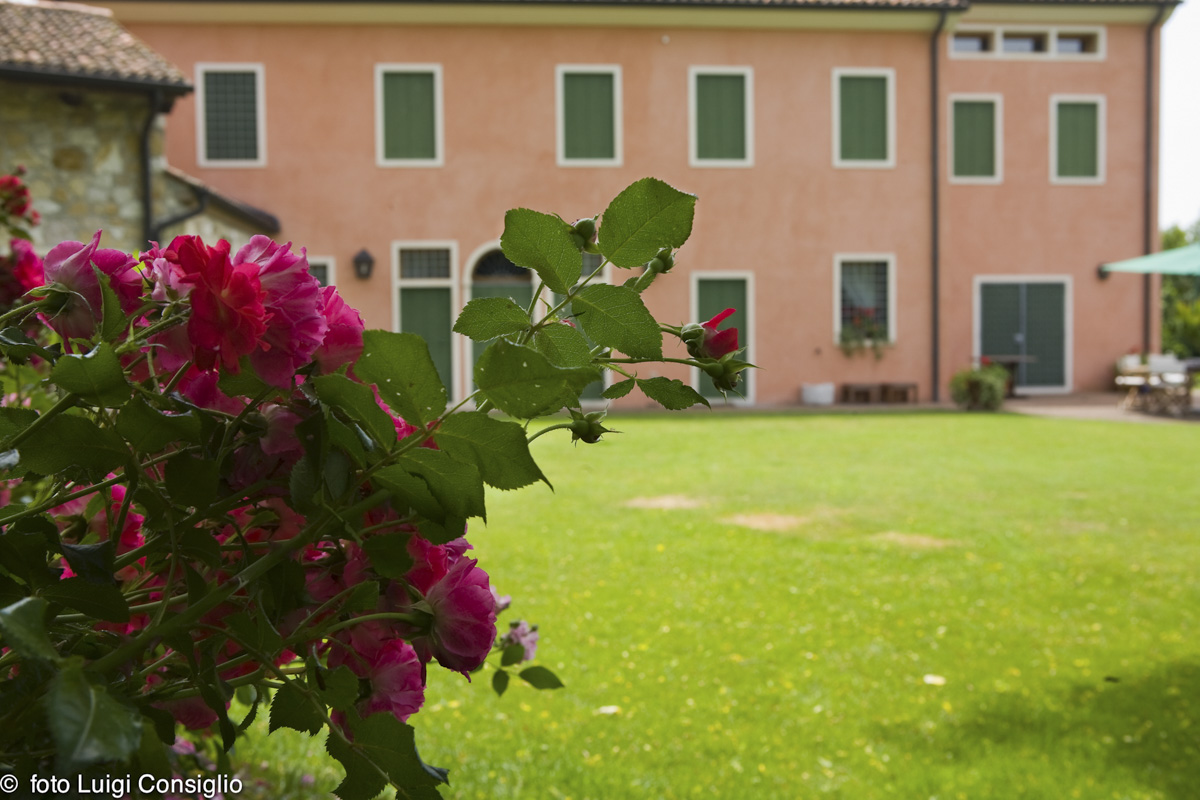 LUIGICONSIGLIO-FOTOGRAFO-giardini-Vicenza-cre matt MG 4945 (1) (1) (1)