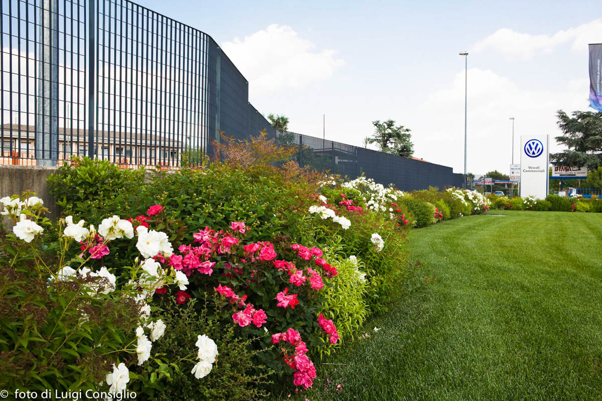 LUIGICONSIGLIO-FOTOGRAFO-giardini-Volkswagen-Vicentini-Verona-001a (1)