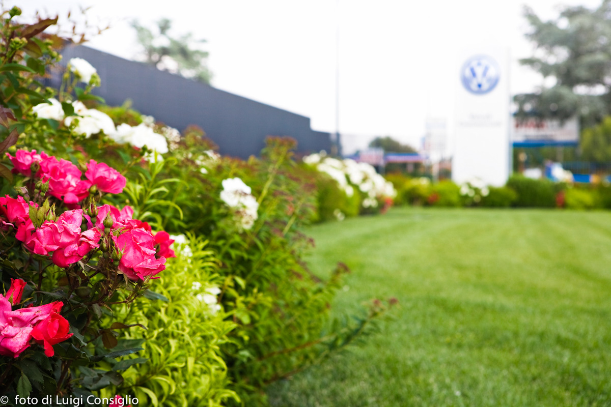 LUIGICONSIGLIO-FOTOGRAFO-giardini-Volkswagen-Vicentini-Verona-004