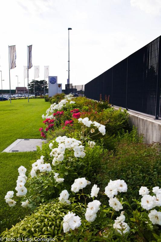 LUIGICONSIGLIO-FOTOGRAFO-giardini-Volkswagen-Vicentini-Verona-009