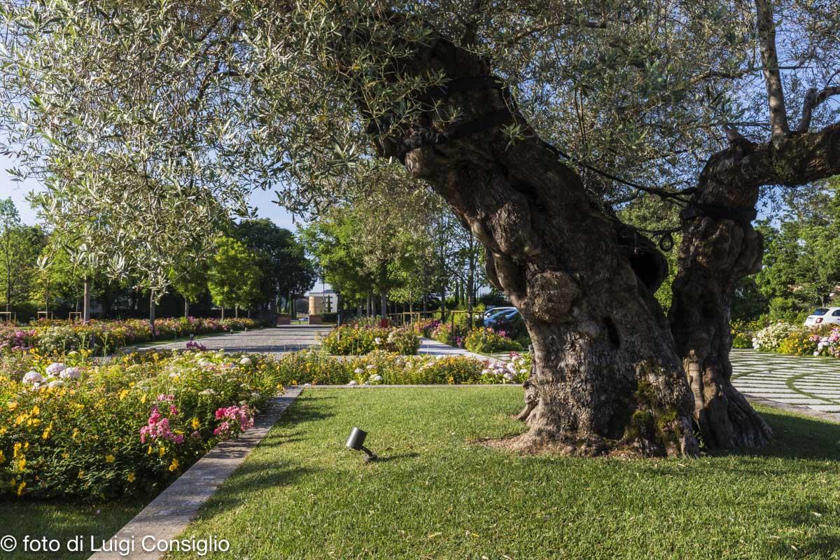 LUIGICONSIGLIO-FOTOGRAFO giardini La-Torre MG 4220