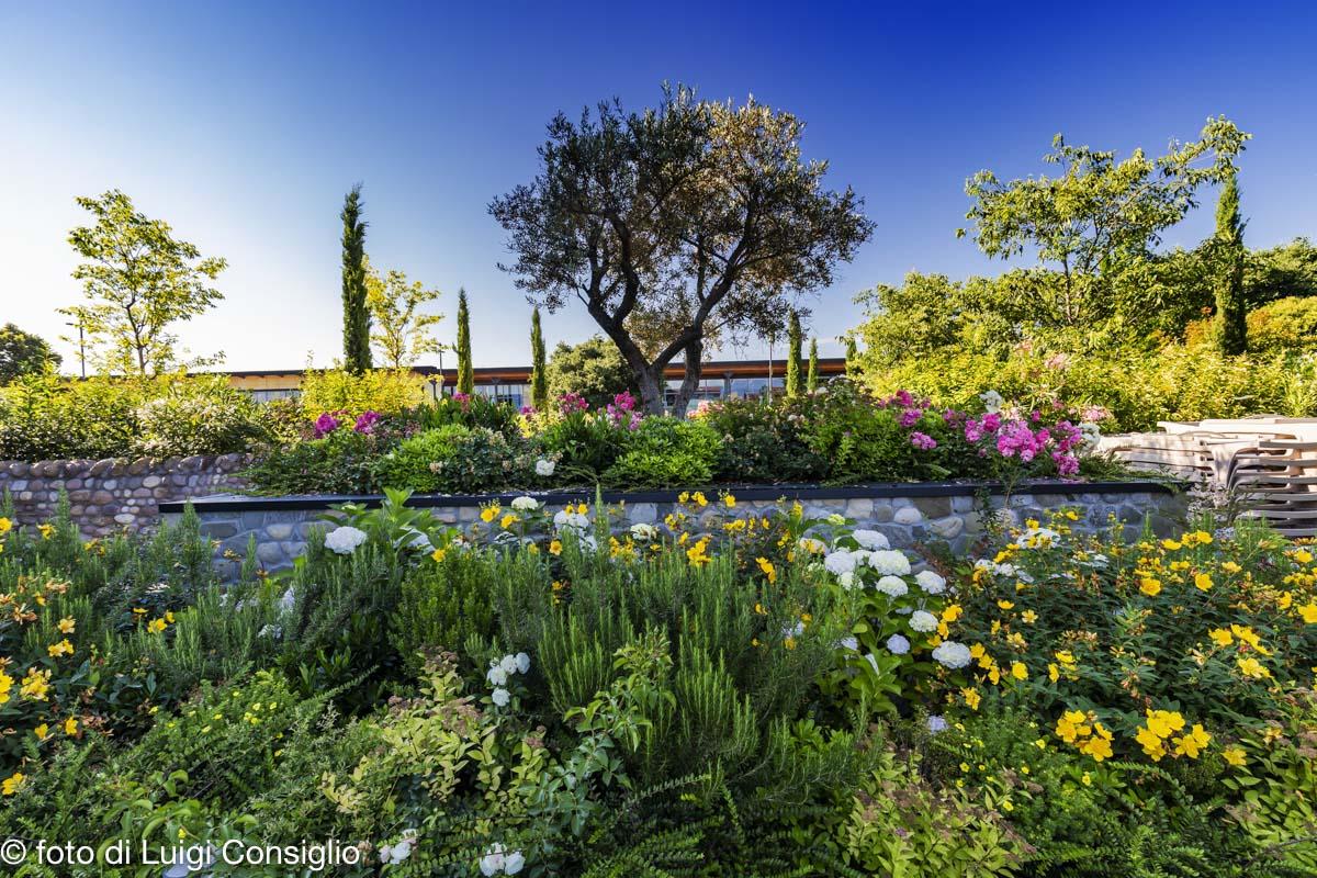 LUIGICONSIGLIO-FOTOGRAFO giardini La-Torre MG 4266