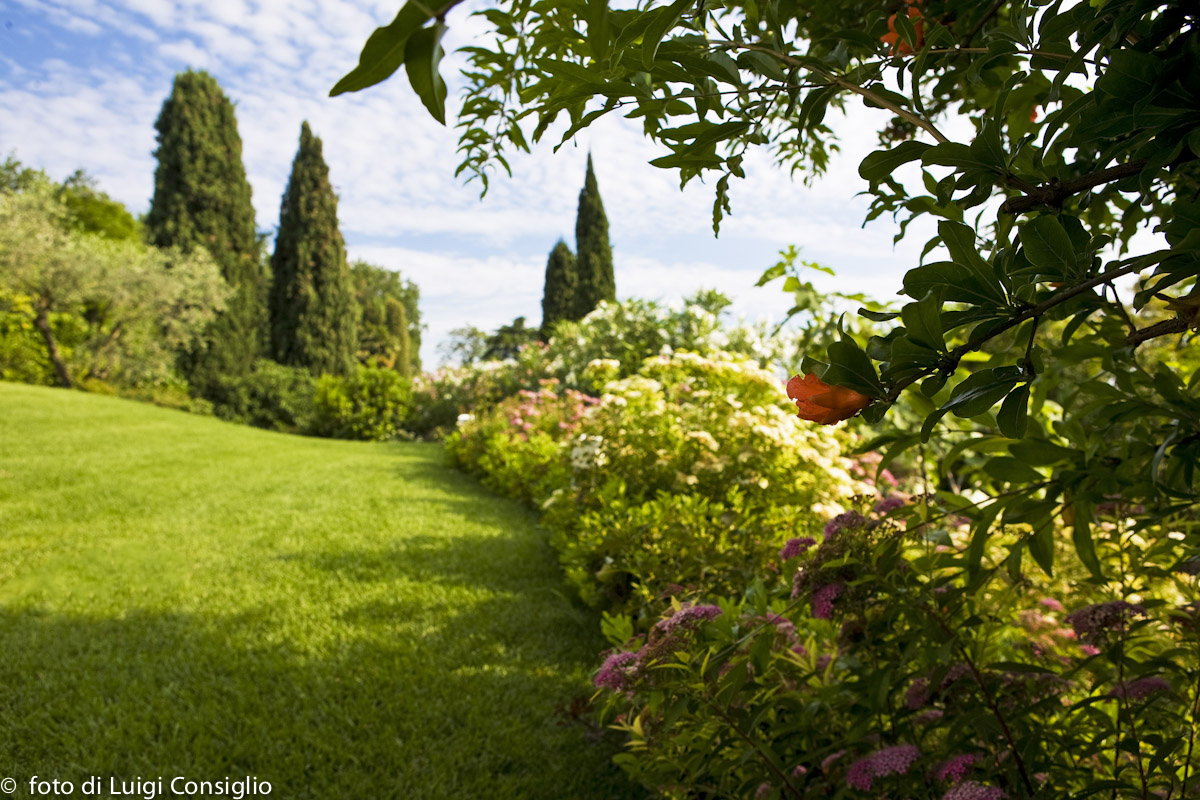 001_Fotografia_di_giardini_Luigi_Consiglio_Fontana_albaré20160622_3271
