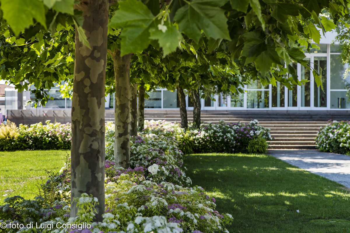 004_Fotografia_di_giardini_Luigi_Consiglio_LUIGICONSIGLIO-FOTOGRAFO-giardini-Verona-industria-20210612_0017