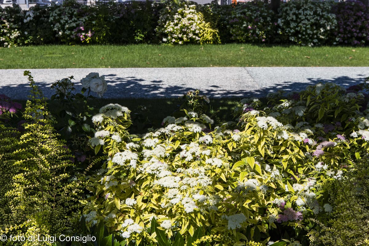 006_Fotografia_di_giardini_Luigi_Consiglio_LUIGICONSIGLIO-FOTOGRAFO-giardini-Verona-industria-20210612_0015