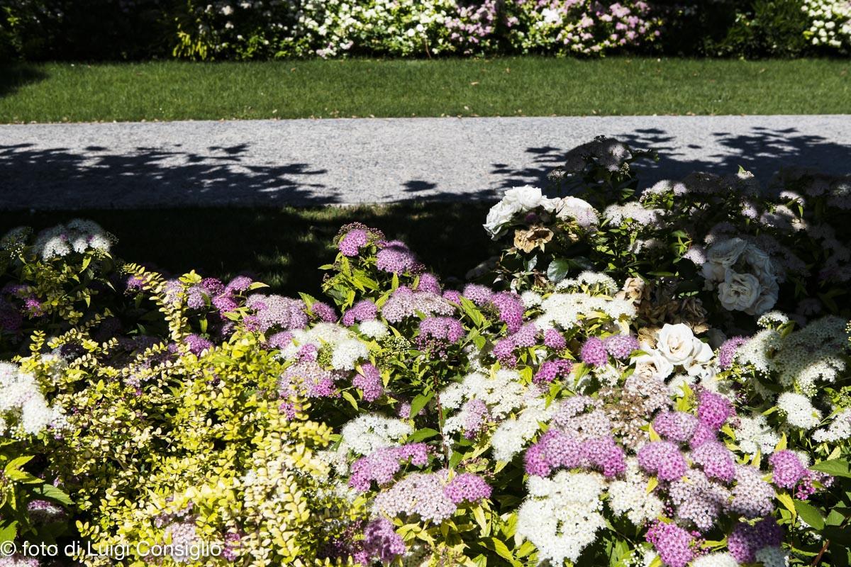 007_Fotografia_di_giardini_Luigi_Consiglio_LUIGICONSIGLIO-FOTOGRAFO-giardini-Verona-industria-20210612_0014