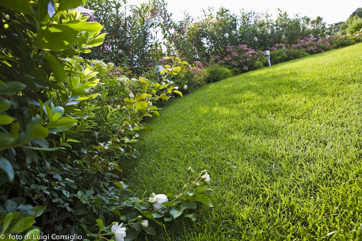 010_Fotografia_di_giardini_Luigi_Consiglio_Fontana_albaré20160622_3281