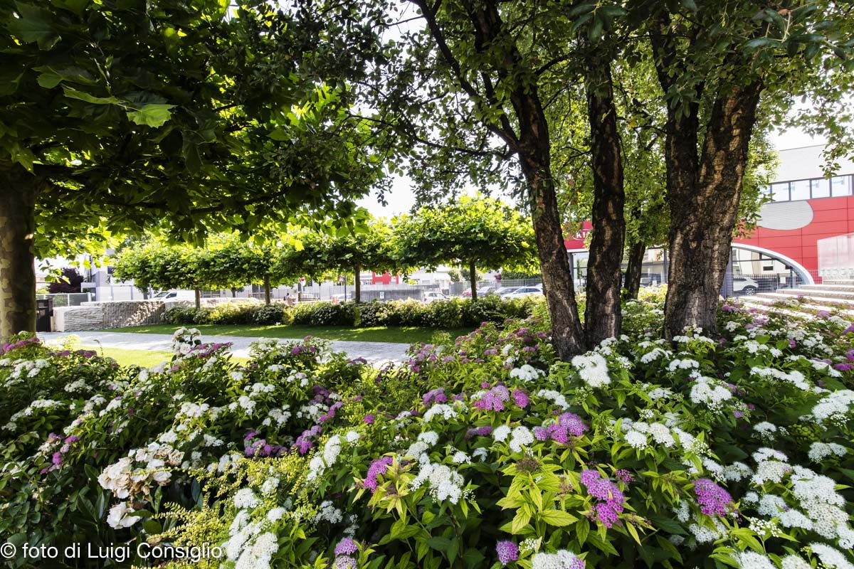 016_Fotografia_di_giardini_Luigi_Consiglio_LUIGICONSIGLIO-FOTOGRAFO-giardini-Verona-industria-20210612_0004