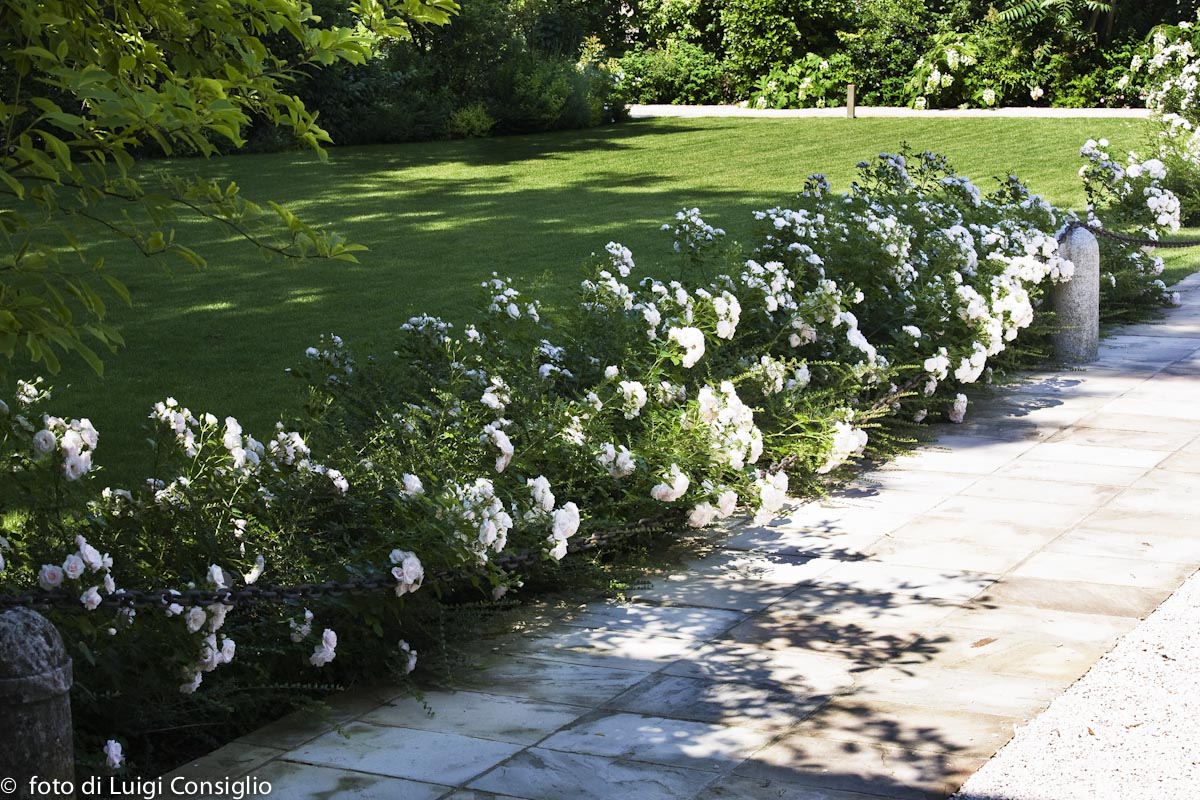 016_Fotografia_di_giardini_Luigi_Consiglio_VillaNabilia_MG_3218