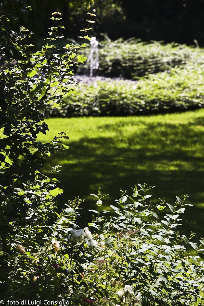 017_Fotografia_di_giardini_Luigi_Consiglio_VillaNabilia_MG_3216