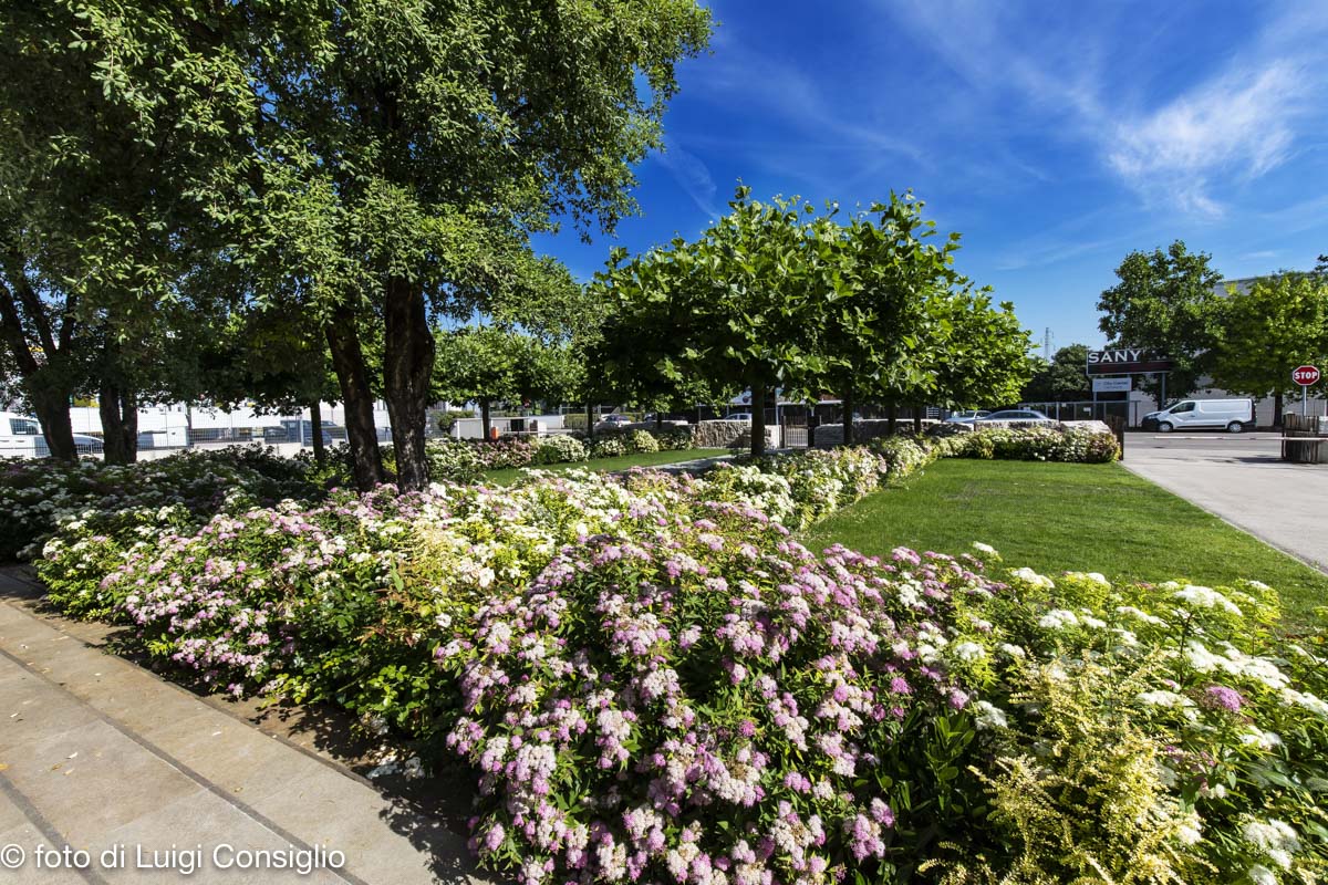 018_Fotografia_di_giardini_Luigi_Consiglio_LUIGICONSIGLIO-FOTOGRAFO-giardini-Verona-industria-20210612_0002