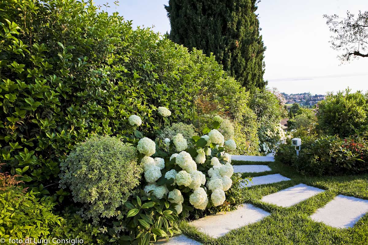 021_Fotografia_di_giardini_Luigi_Consiglio_Fontana_albaré20160622_3354