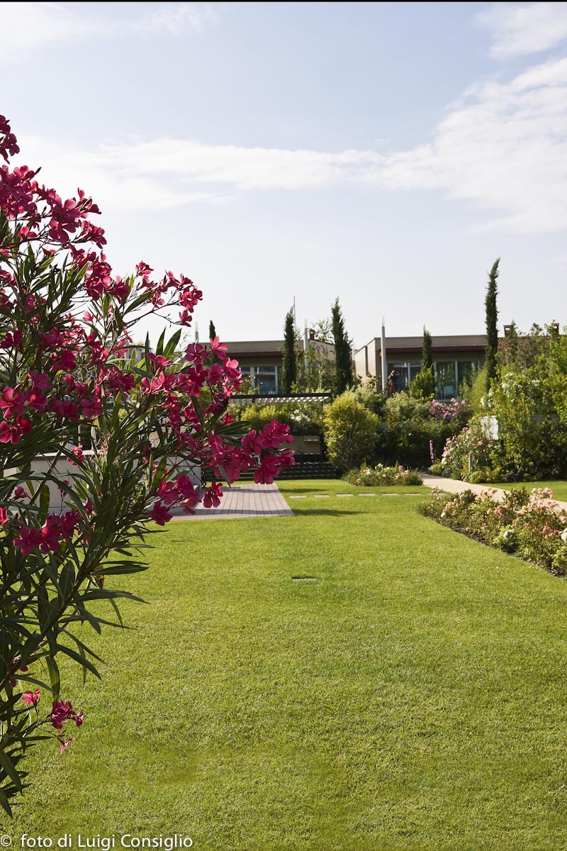 023_Fotografia_di_giardini_Luigi_Consiglio_aqua_MG_3547