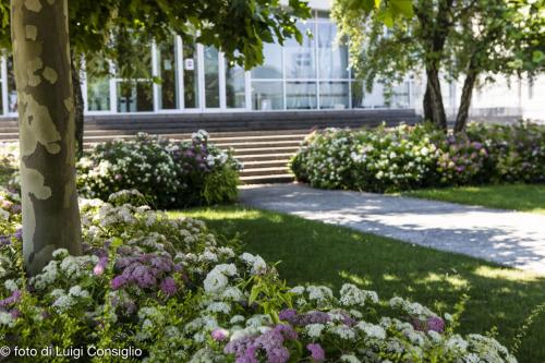 001_Fotografia_di_giardini_Luigi_Consiglio_LUIGICONSIGLIO-FOTOGRAFO-giardini-Verona-industria-20210612_0018