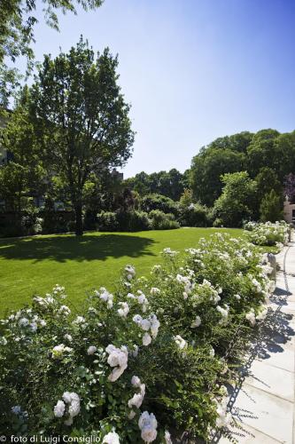 002_Fotografia_di_giardini_Luigi_Consiglio_VillaNabilia_MG_5531