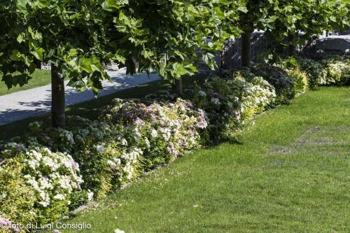 008_Fotografia_di_giardini_Luigi_Consiglio_LUIGICONSIGLIO-FOTOGRAFO-giardini-Verona-industria-20210612_0013