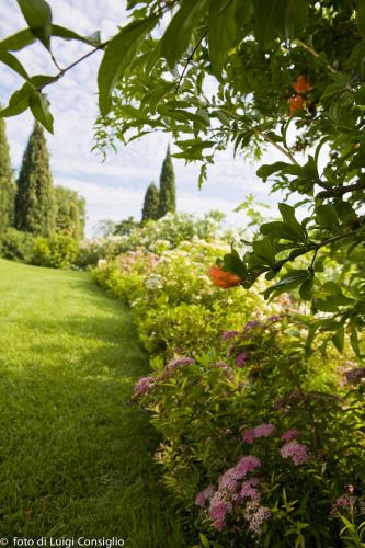 009_Fotografia_di_giardini_Luigi_Consiglio_Fontana_albaré20160622_3270