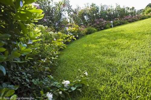 010_Fotografia_di_giardini_Luigi_Consiglio_Fontana_albaré20160622_3281