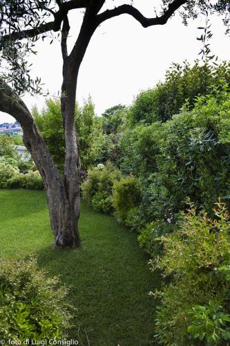 013_Fotografia_di_giardini_Luigi_Consiglio_Fontana_albaré20160622_3287