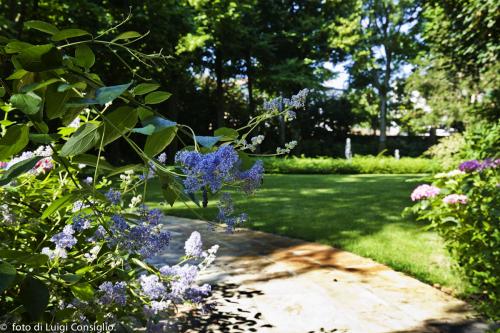 014_Fotografia_di_giardini_Luigi_Consiglio_VillaNabilia_MG_5399