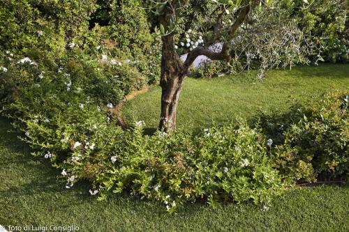 015_Fotografia_di_giardini_Luigi_Consiglio_Fontana_albaré20160622_3302