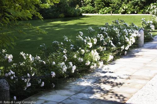 016_Fotografia_di_giardini_Luigi_Consiglio_VillaNabilia_MG_3218