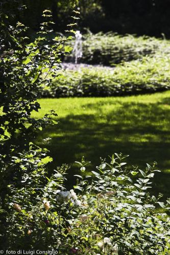 017_Fotografia_di_giardini_Luigi_Consiglio_VillaNabilia_MG_3216