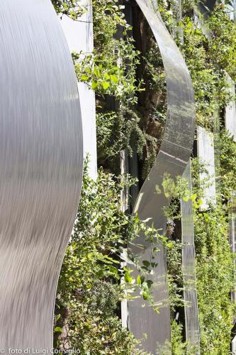 018_Fotografia_di_giardini_Luigi_Consiglio_Aqua_MG_3150