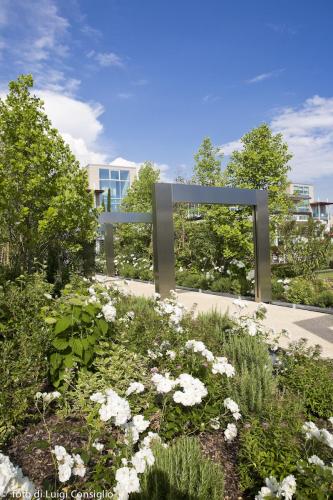 027_Fotografia_di_giardini_Luigi_Consiglio_AquaAqua_MG_3212