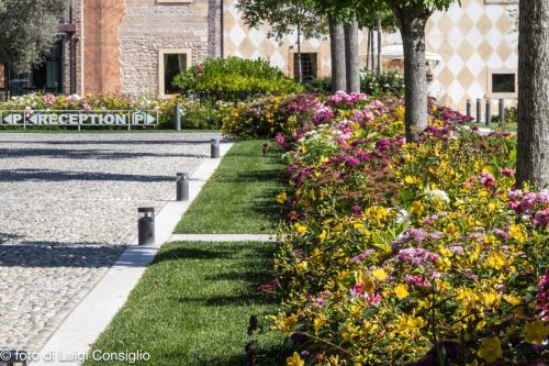 La Torre_MG_4322