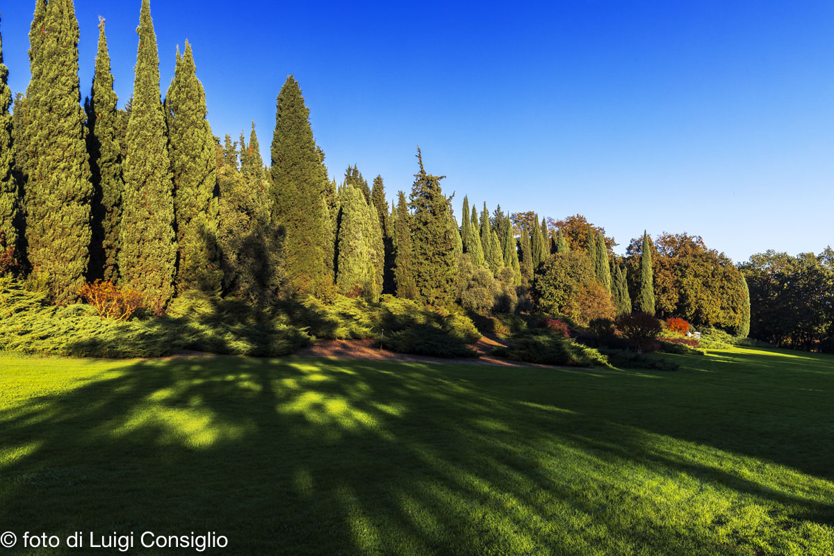 parco Sigurta MG 6209
