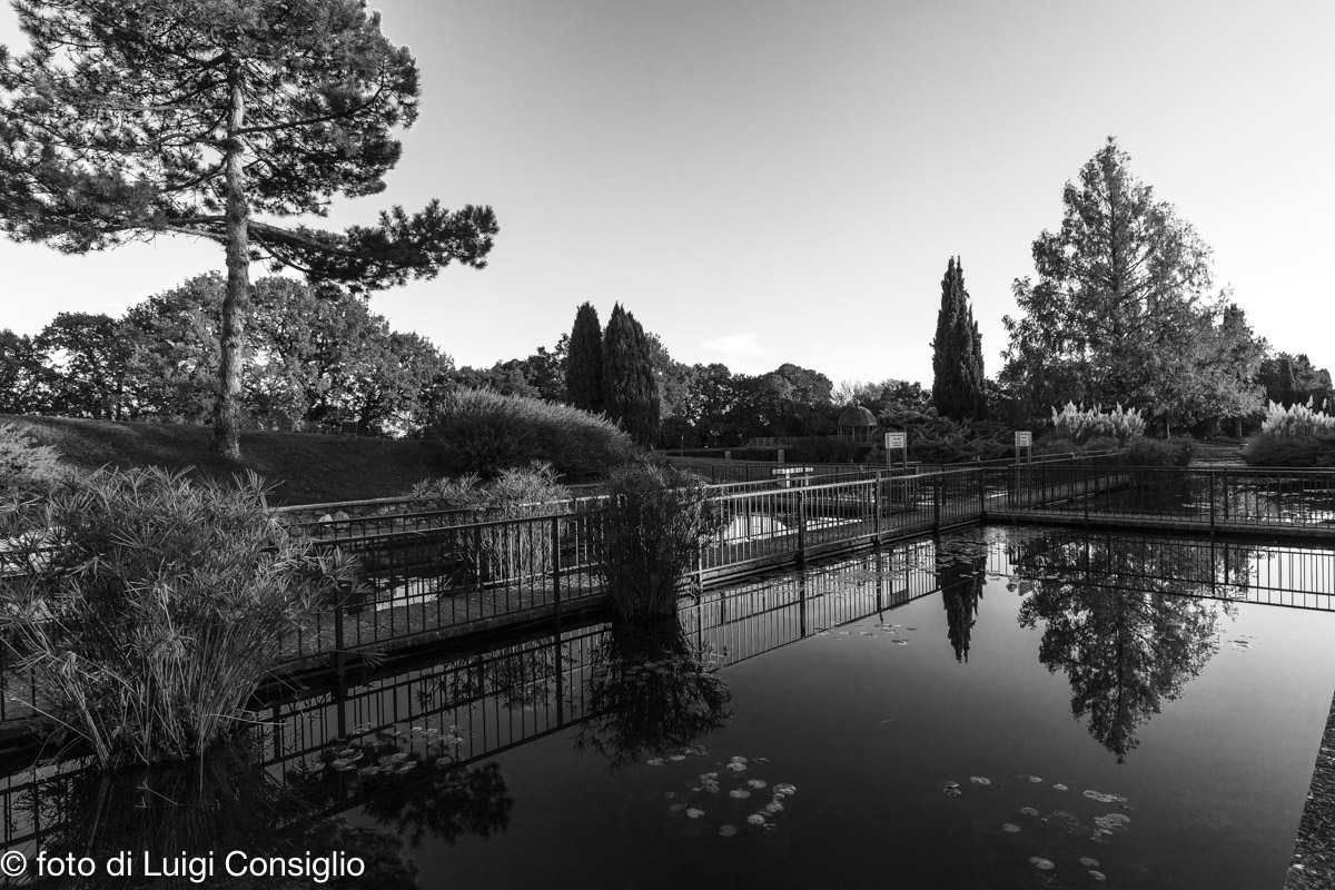 parco Sigurta MG 6238