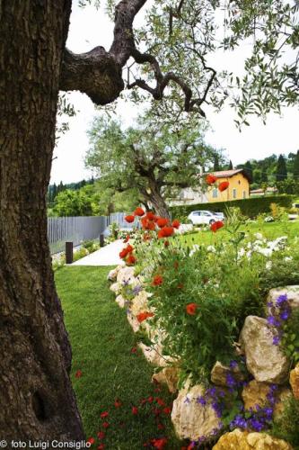 LUIGICONSIGLIO-FOTOGRAFO-giardini-Bardolino-BarBB20170518 5469 (1)