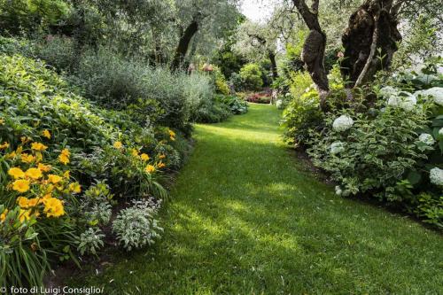 LUIGICONSIGLIO-FOTOGRAFO-giardini-Lago-di-GardaTo MG 6339 (1)